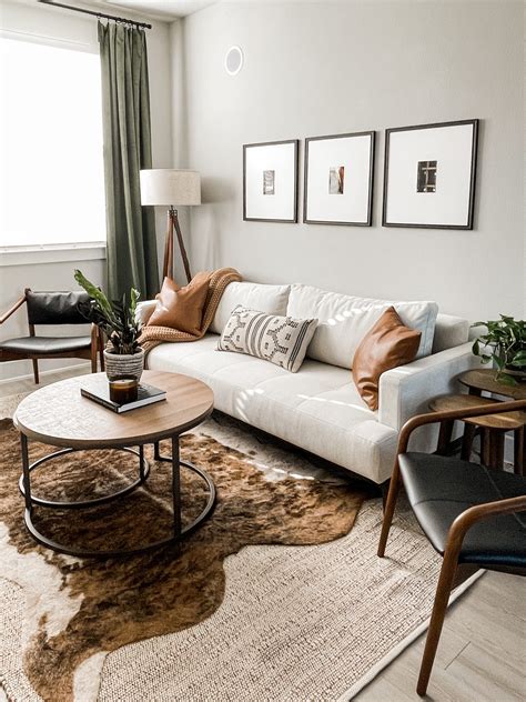 shared apartment living room