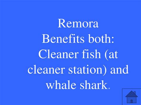 shark fish benefits for female