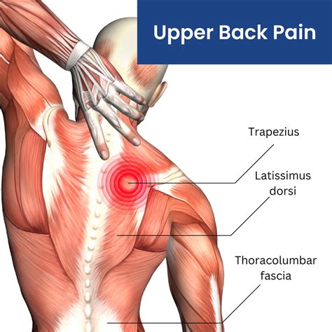 sharp pain in upper back when working out