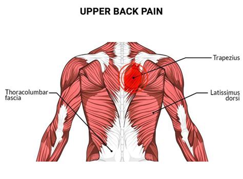 sharp pain in upper right back and chest