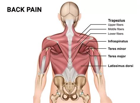 sharp pain on right side of upper back