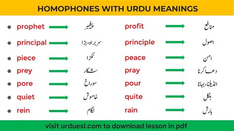 she's not here meaning in urdu