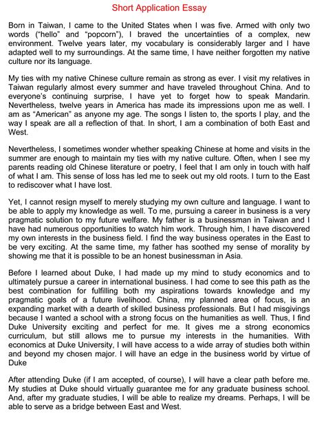 short essay writing examples in english