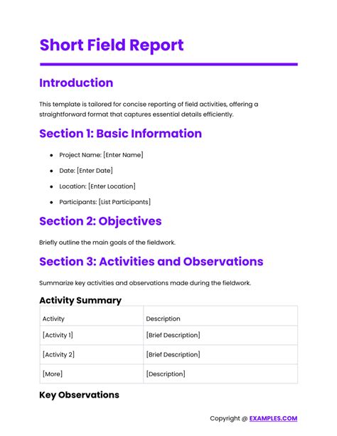 short field report example for students