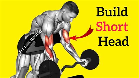 short head bicep tendonitis exercises