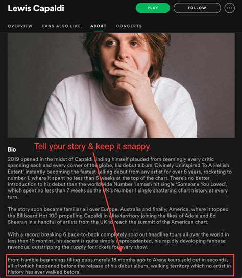 short musician bio example copy and paste