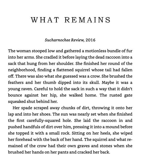 short novel examples
