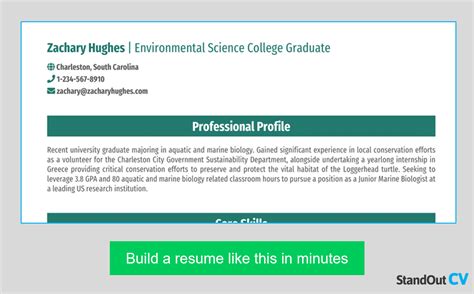 short summary for resume examples