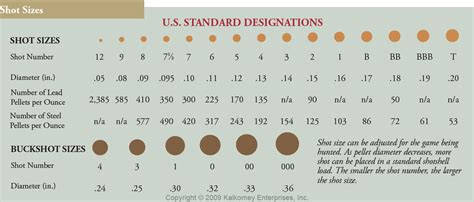 Shot Size Comparison Chart