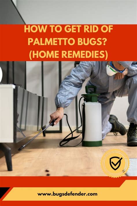 should i be scared of palmetto bugs