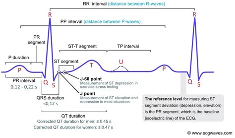 significance of st segment in ecg