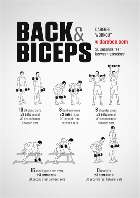simple bicep exercises with dumbbells