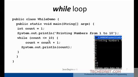 simple example for do while loop in java