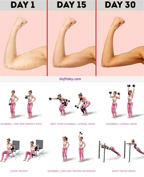 simple exercises to tone your arms