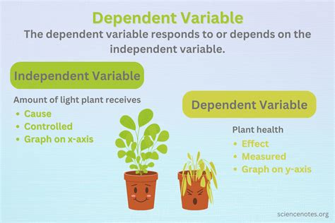 simple experiment examples with independent and dependent variables