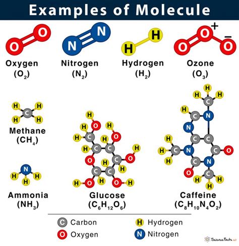 simple molecular structure examples