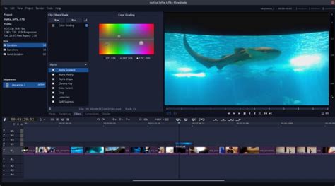 simple open source video editing software