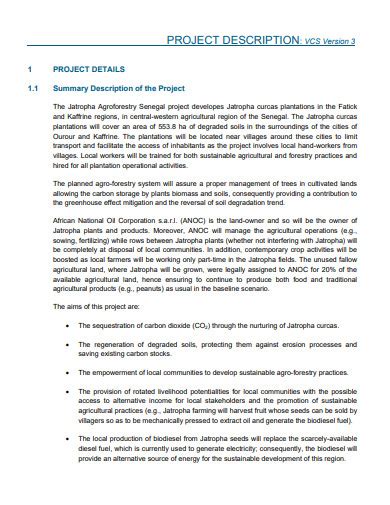 simple project description sample pdf