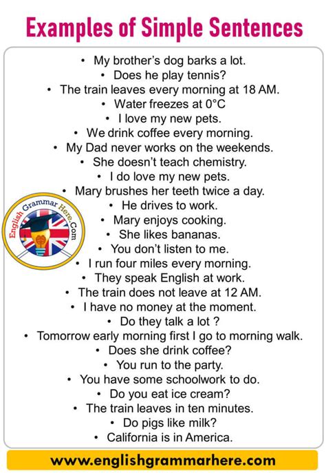 simple sentences in english with examples