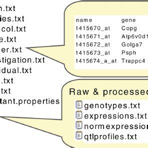 simple text file format