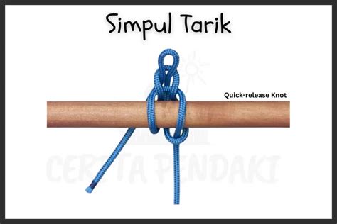 Simpul Tarik