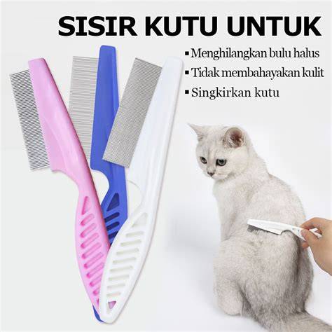 sisir kutu