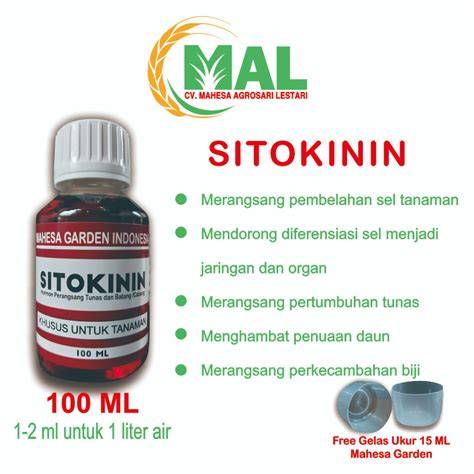 sitokinin alami