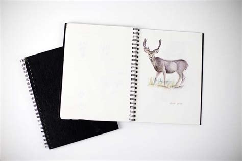 sketch book definition