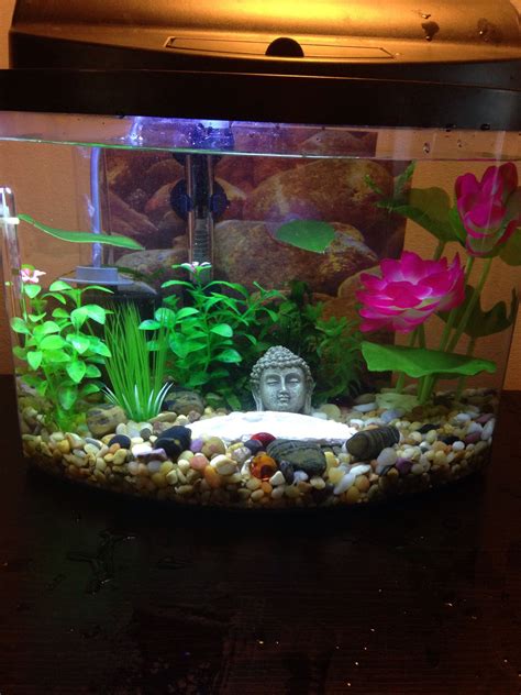 Small Betta Fish Tank