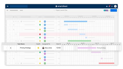 smartsheet project management examples
