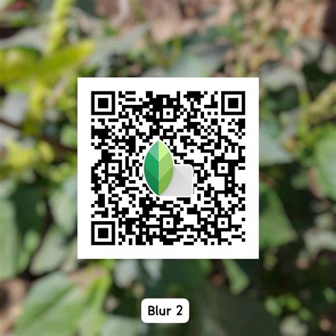 snapseed blur effect qr code