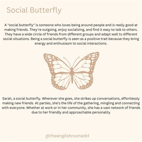 Social Butterfly