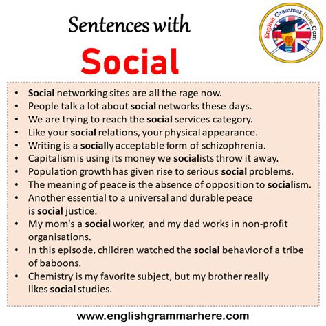 social in a sentence examples
