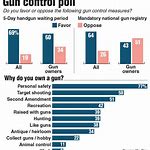 societal attitudes towards gun ownership