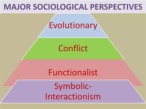 sociological perspectives