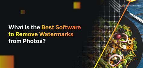 software to remove watermark from video