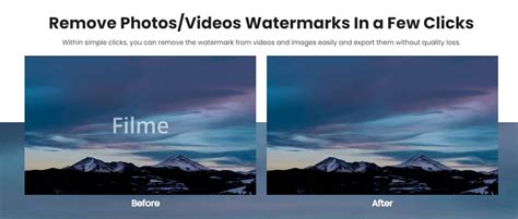 software to remove watermark from video free