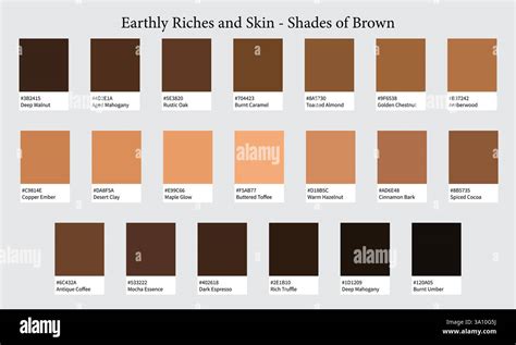 soil brown hex code