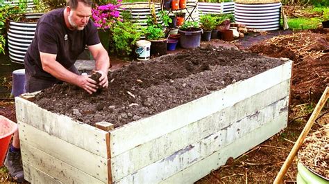 soil preparation for raised beds