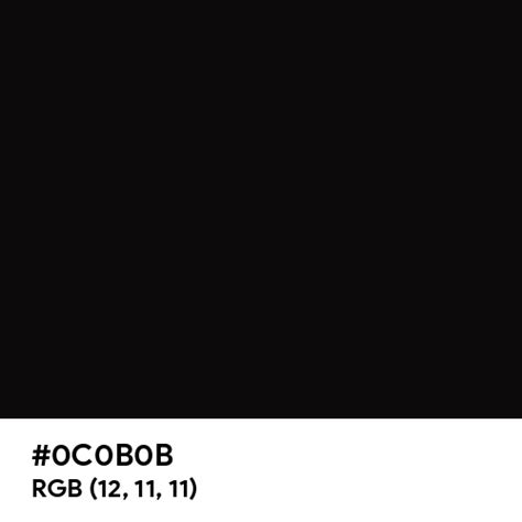 solid black hex code