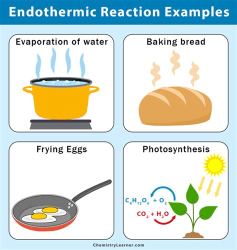 some example of endothermic process