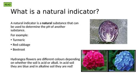 some examples of natural indicators