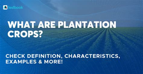 some examples of plantation crops