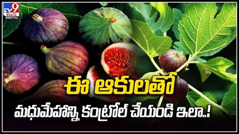 some health issues meaning in telugu