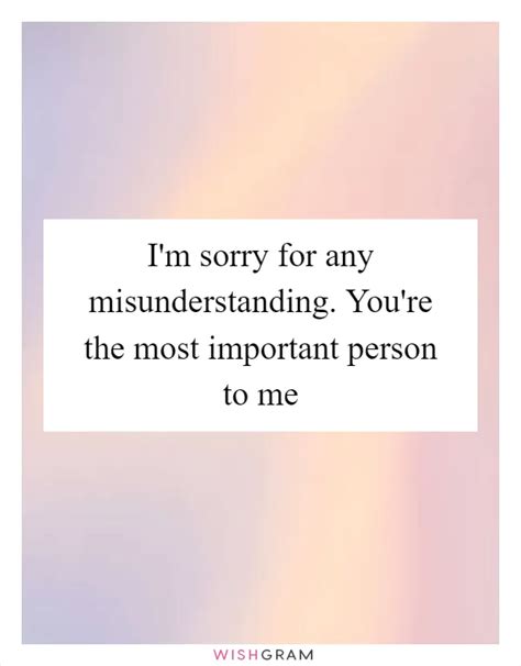 sorry for the misunderstanding meaning