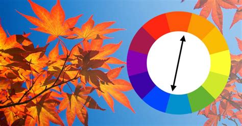 split complementary colors examples in real life