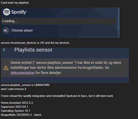 spotify can't load page