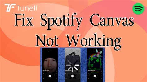spotify canvas not working pc