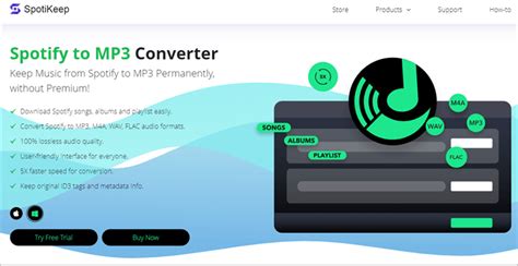 spotify to mp3 program