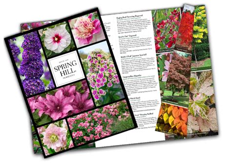 Spring Hill Nurseries Catalog